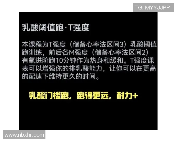 全面提升体能与健康的秘密武器：有氧运动的科学原理与实战技巧
