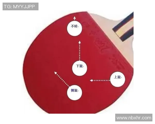 从零起步掌握乒乓球灵活性技巧全解析与实用训练方法